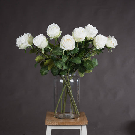 traditional white rose