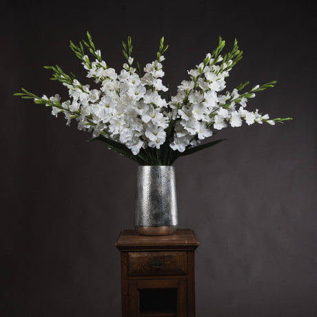 white gladioli