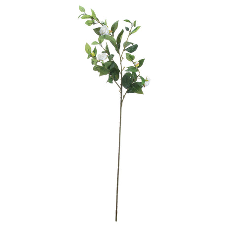 cream gardenia stem