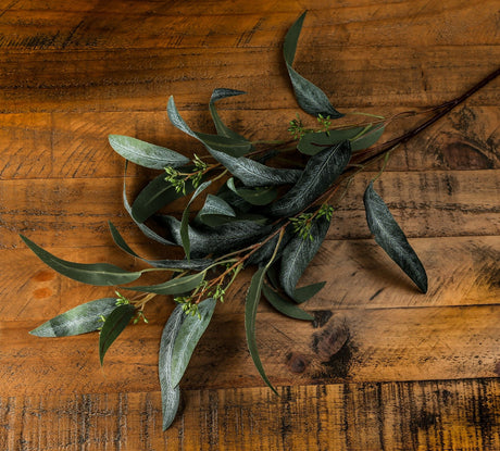 seeded eucalyptus spray