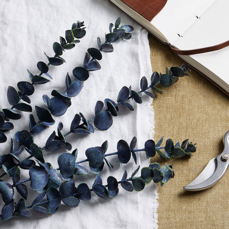 large blue eucalyptus stem