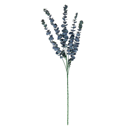 large blue eucalyptus stem