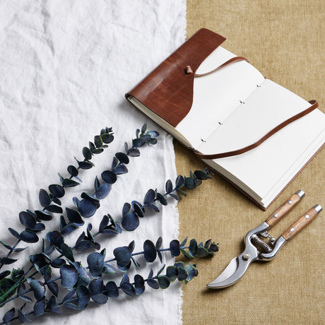 large blue eucalyptus stem