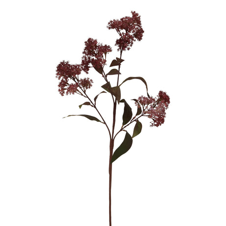 medium burgundy smokebush stem