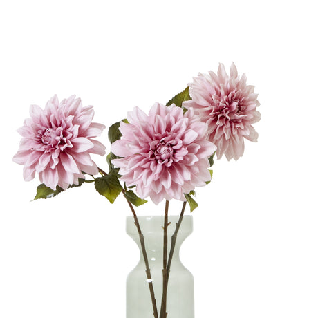 the natural garden collection pink dahlia