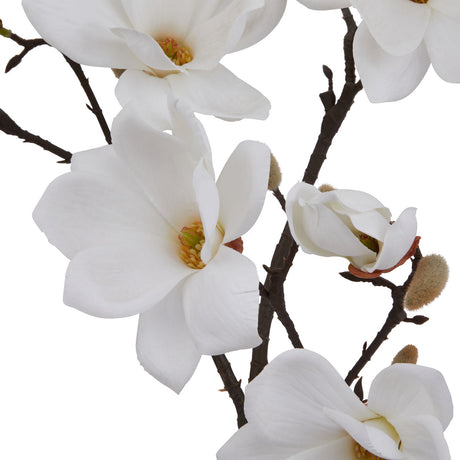the natural garden collection white magnolia stem