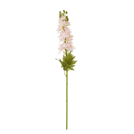 the natural garden collection pink elatum delphinium