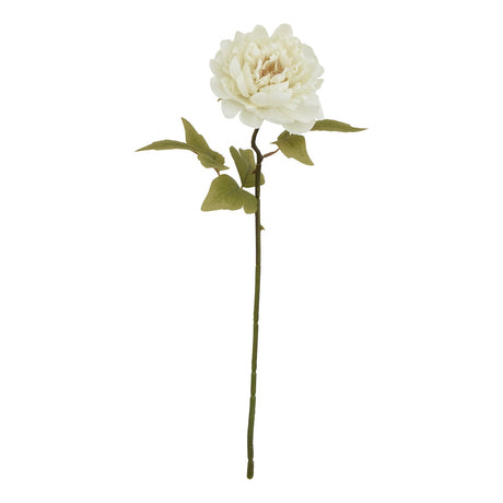 the natural garden collection white peony