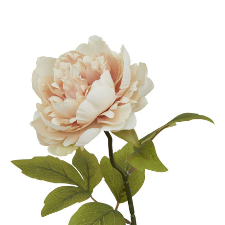 the natural garden collection blush peony