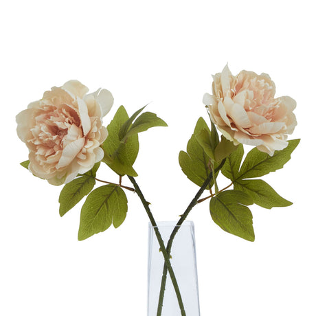 the natural garden collection blush peony