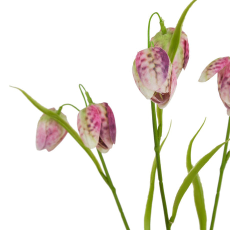 the natural garden collection purple fritillaria stem