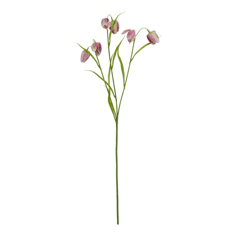 the natural garden collection purple fritillaria stem