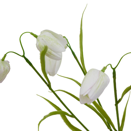 the natural garden collection white fritillaria stem