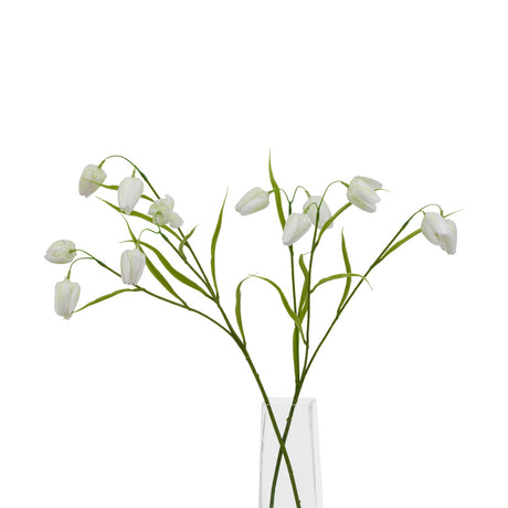 the natural garden collection white fritillaria stem