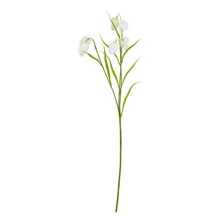 the natural garden collection white fritillaria stem