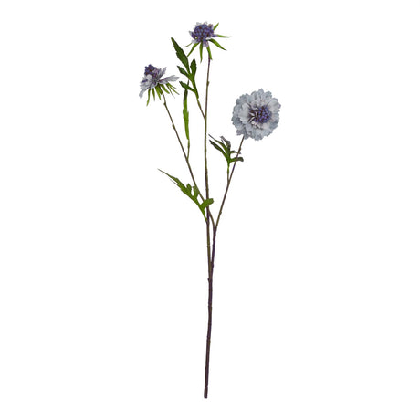 pale blue scabious stem
