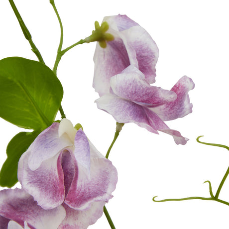 the natural garden collection purple sweetpea stem