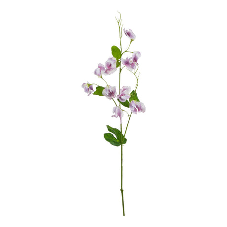 the natural garden collection purple sweetpea stem