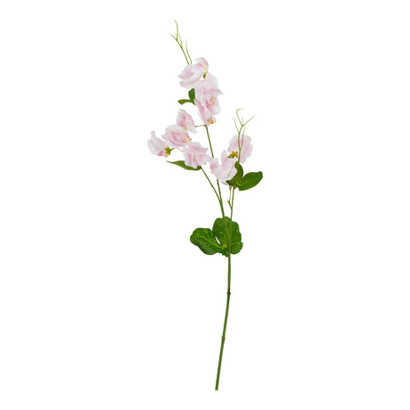 the natural garden collection pale pink sweetpea stem