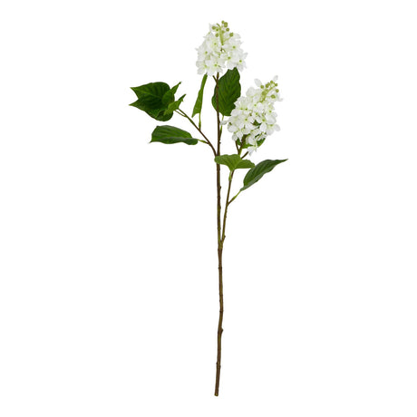 the natural garden collection white lilac stem