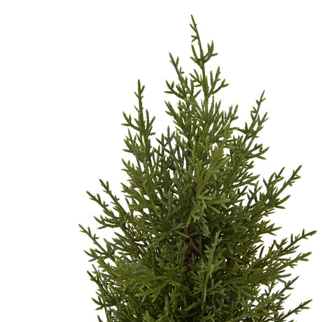 small green fir tree in wood log