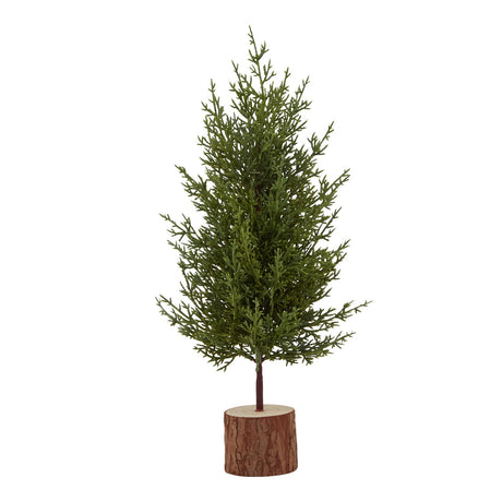 small green fir tree in wood log