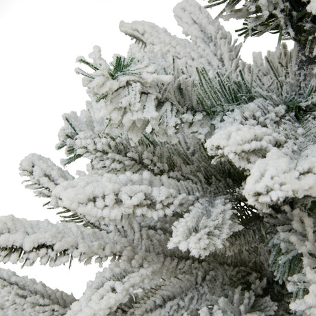 medium snowy spruce tree