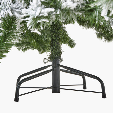 extra large snowy spruce tree