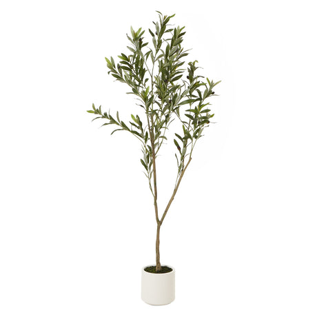 apulia olive tree in white pot 150cm