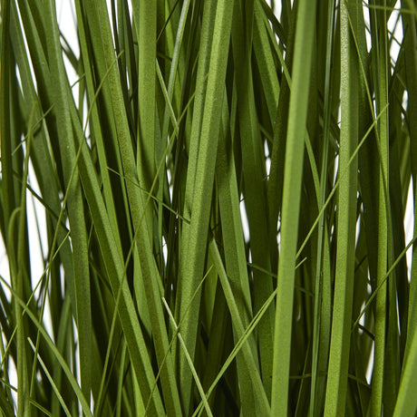 white allium plant in pot