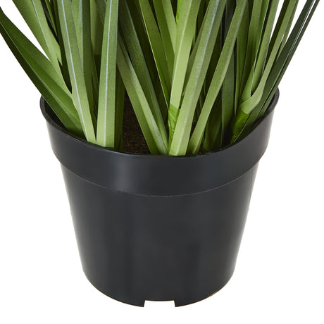 large purple agapanthus plant in pot