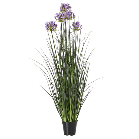 large purple agapanthus plant in pot