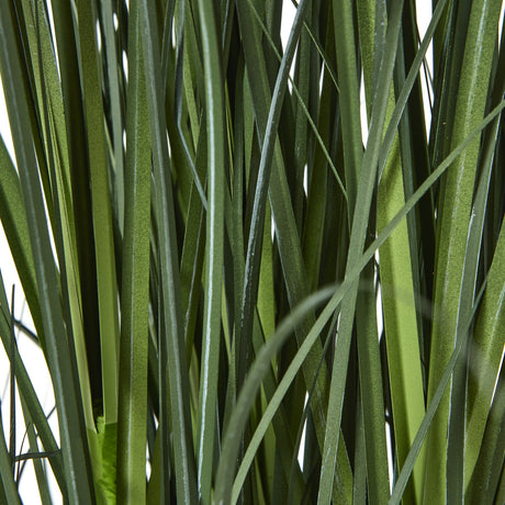 large blue agapanthus plant in pot