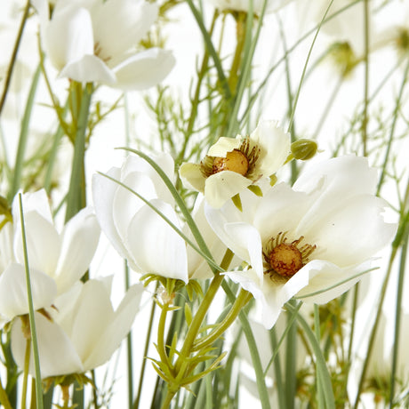 large white meadow plant in pot