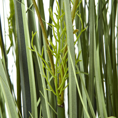 large white meadow plant in pot