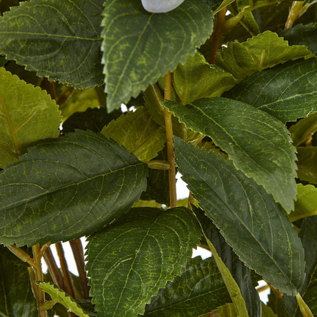 large green hydrangea plant in pot