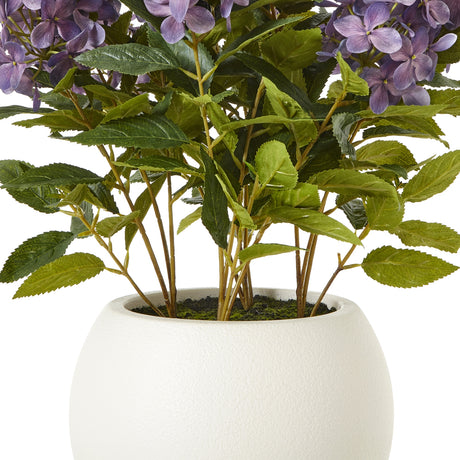medium purple hydrangea plant in pot