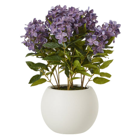 medium purple hydrangea plant in pot