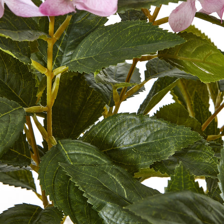 large pink hydrangea plant in pot