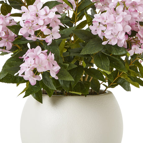 large pink hydrangea plant in pot