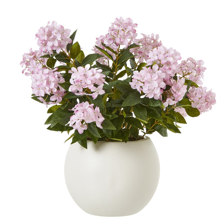 large pink hydrangea plant in pot