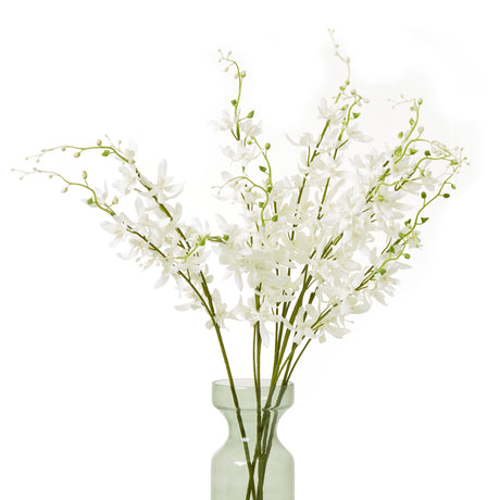 white cymbidium spray