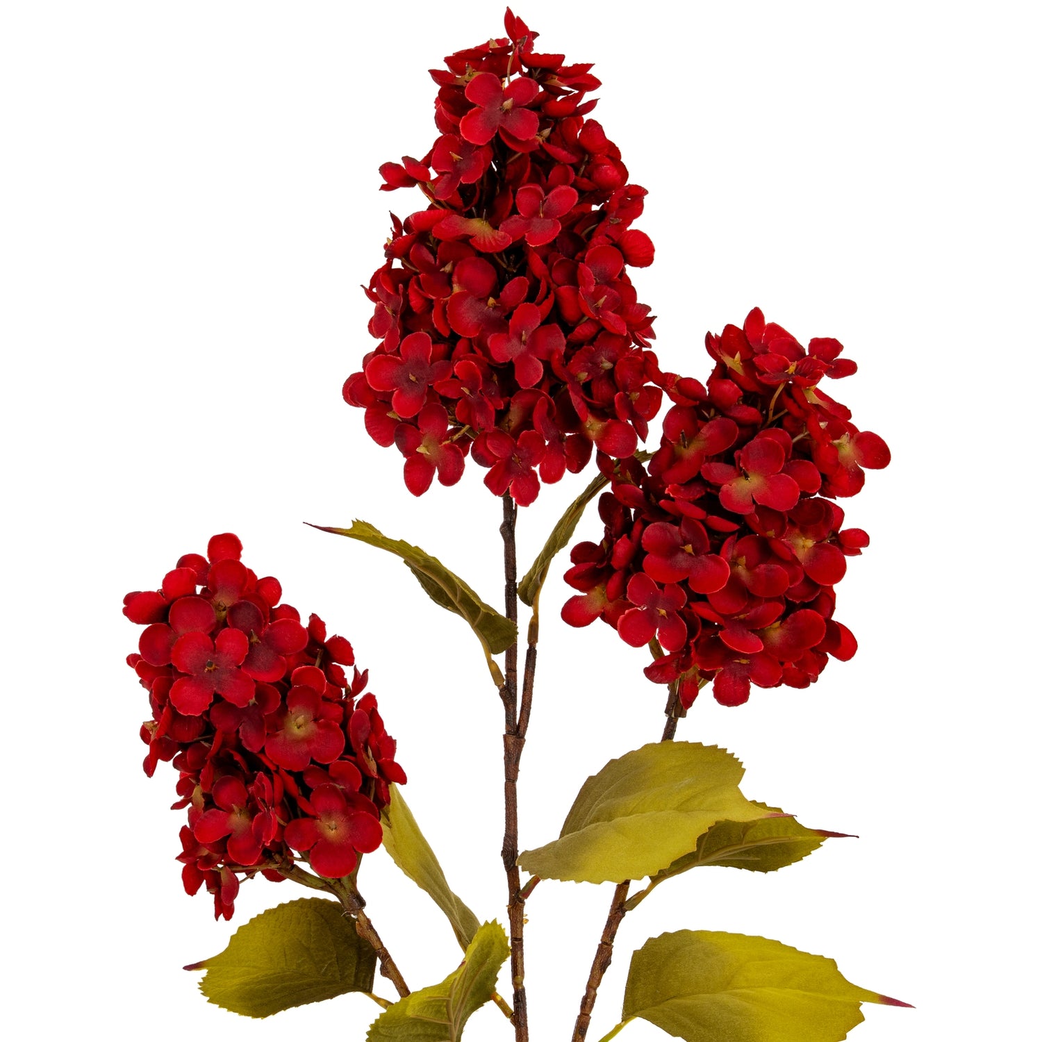 Eulalie Dark Red Spear Hydrangea Spray