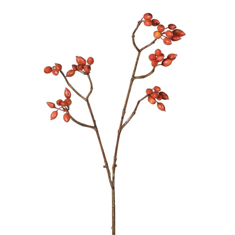 Helene Rosehip Berries Spray