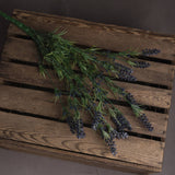 large lavender bush