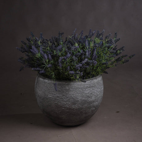 large lavender bush