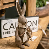 winter bunny rabbit small