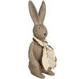 winter bunny rabbit small