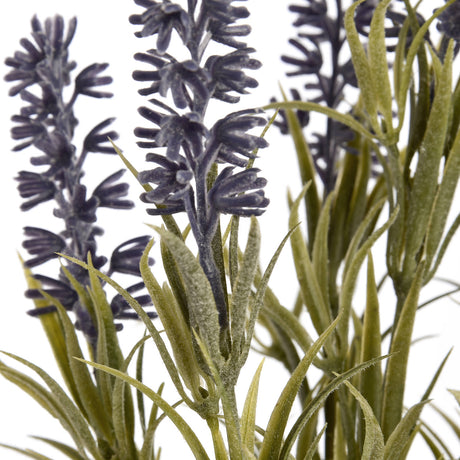 small lavender spray