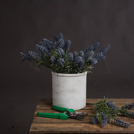small lavender spray
